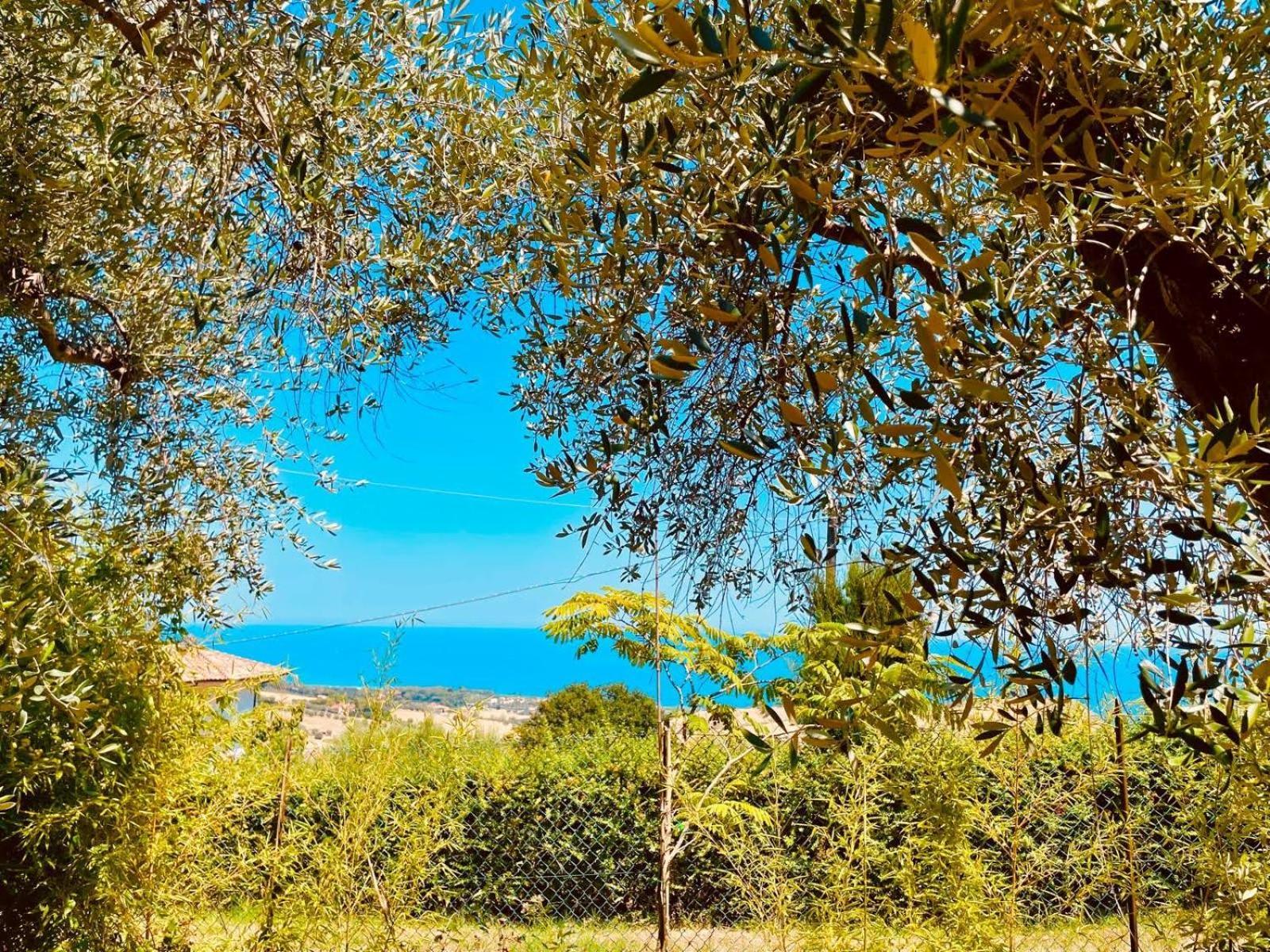 Villa In Collina Vista Mare Roseto Degli Abruzzi Exterior foto